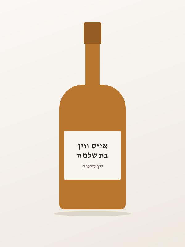 בת שלמה אייס ווין