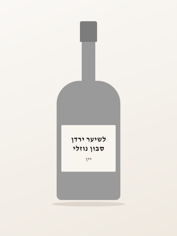 סבון נוזלי לשיער ירדן