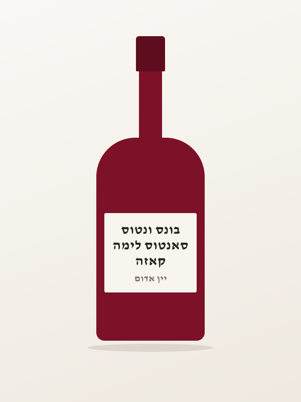 קאזה סאנטוס לימה בונס ונטוס